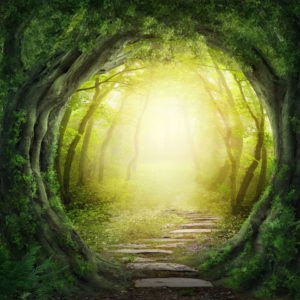 Past Life Regression Stories